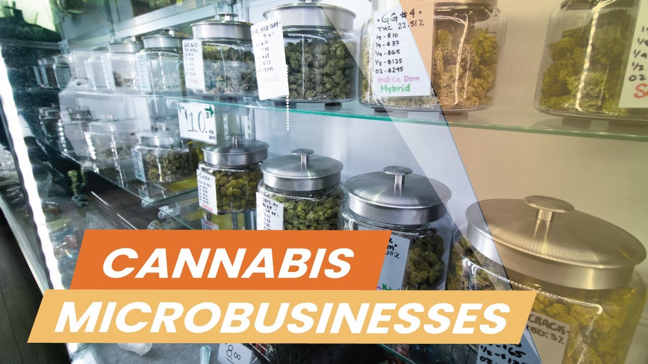 Cannabis Microbusinesses: A Beginner's Guide to Understand and Applying for Marijuana SMBs