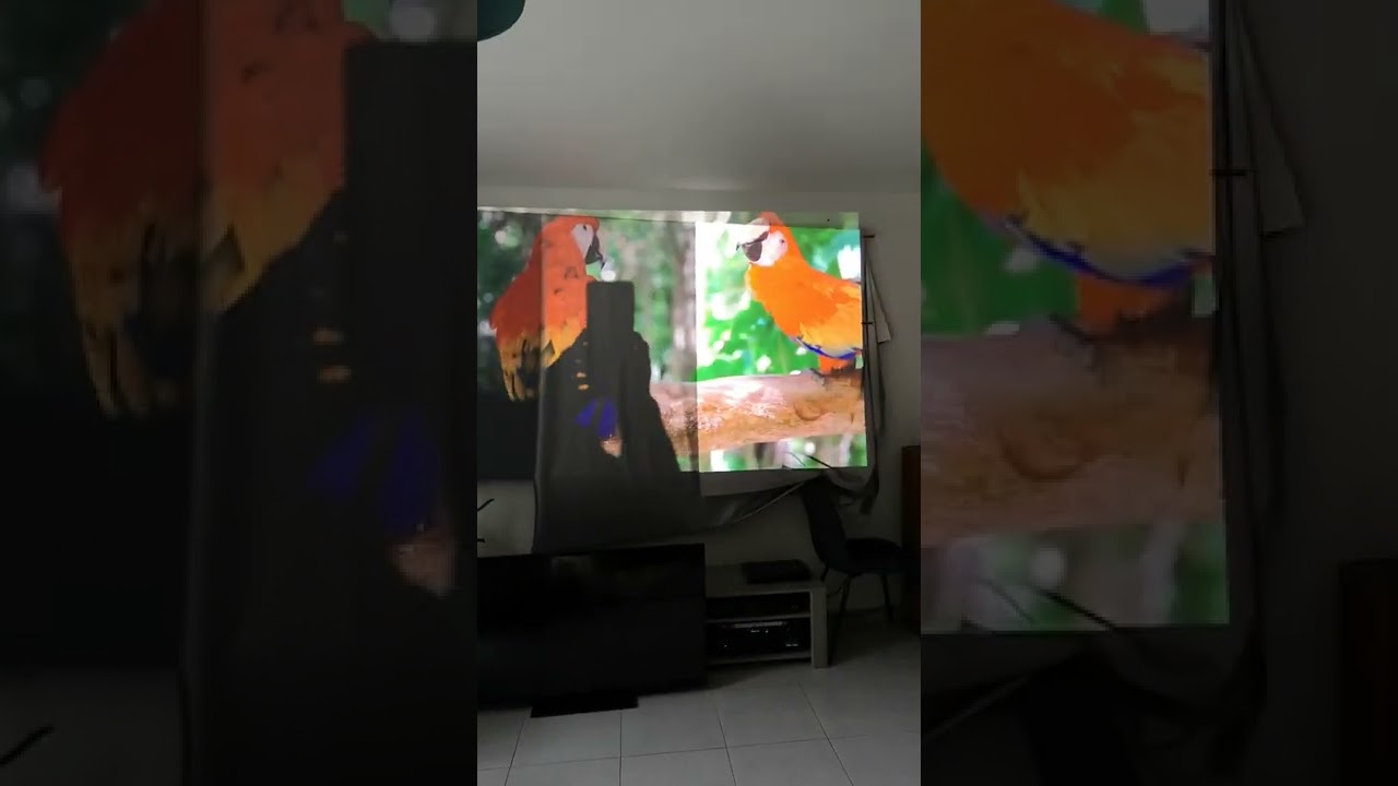 Test toile écran pour vidéoprojecteur, autoconstruction écran
