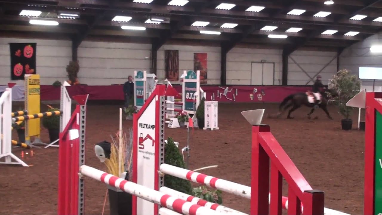 Horse Trading Agent, sales of exclusive sporthorses