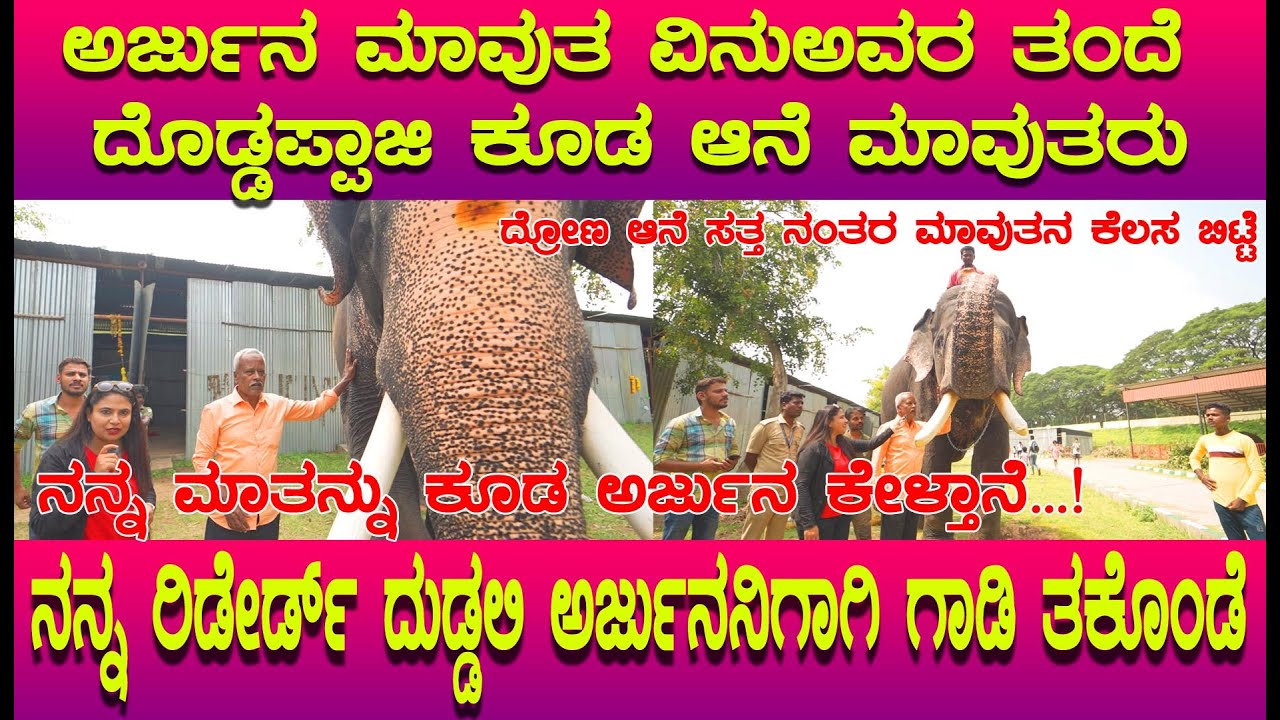 ಅರ್ಜುನ ಮಾವುತ ವಿನು ಅವರ ತಂದೆ ಅವರ ಮಾತನ್ನು ಅರ್ಜುನ ಕೇಳ್ತನೆ, Arjuna elephant,