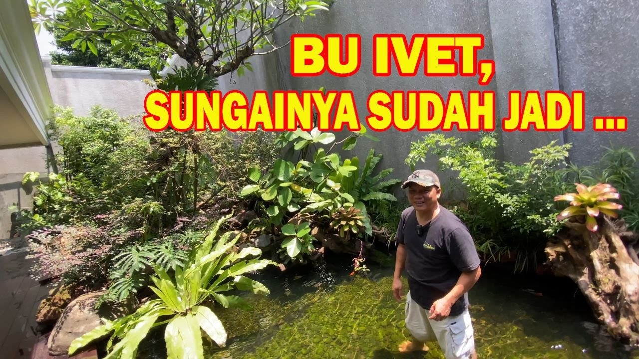 BU IVET, SUNGAINYA SUDAH JADI ...