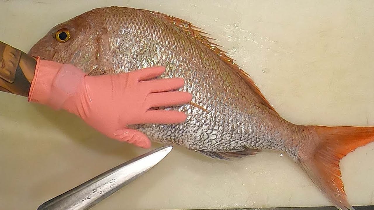 Удивительные навыки разделки рыбы / Тускфиш, сашими из красного морского леща