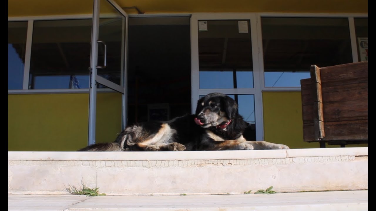Καθημερινοί  ΉΡωες