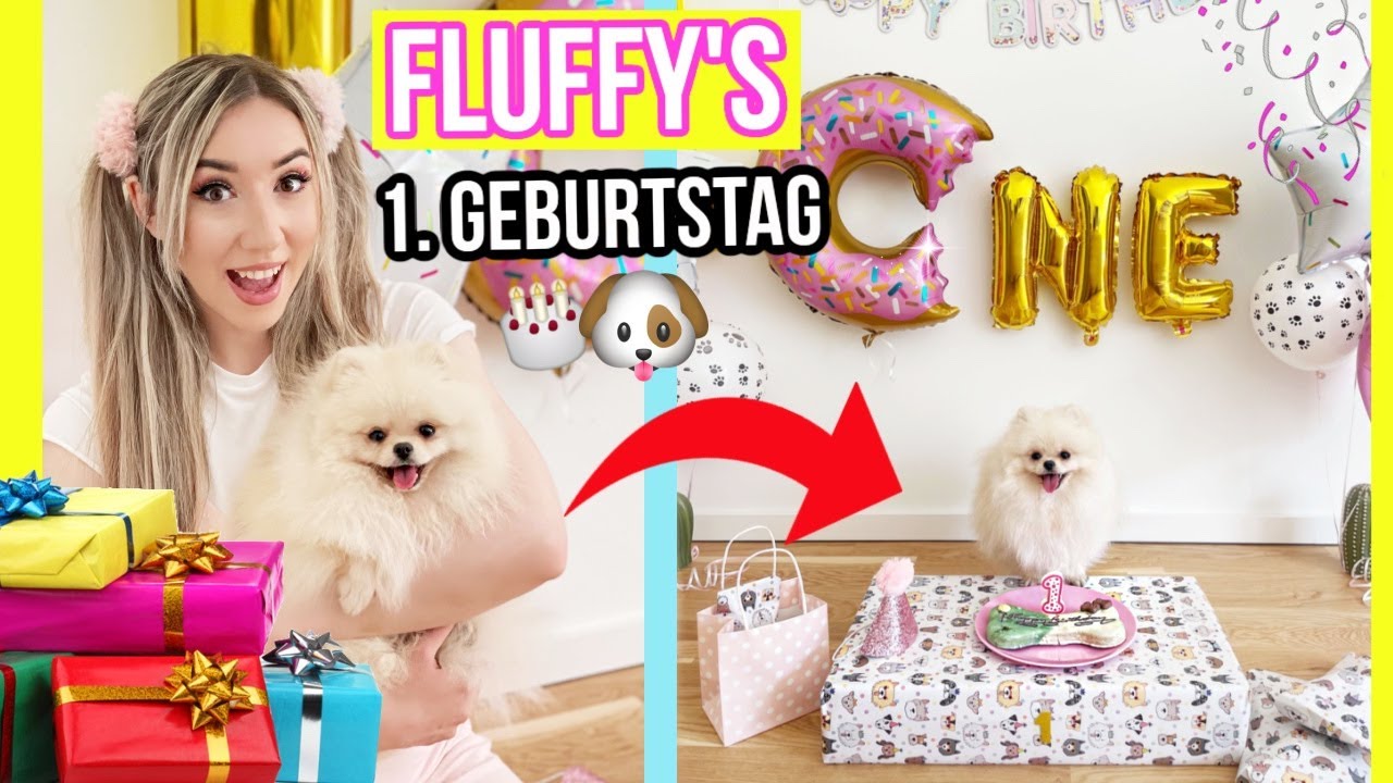 BABY FLUFFY feiert 1 te Geburtstag (Ich überrasche Sie mit HUNDE Geburtstagskuchen & Welpen Party)
