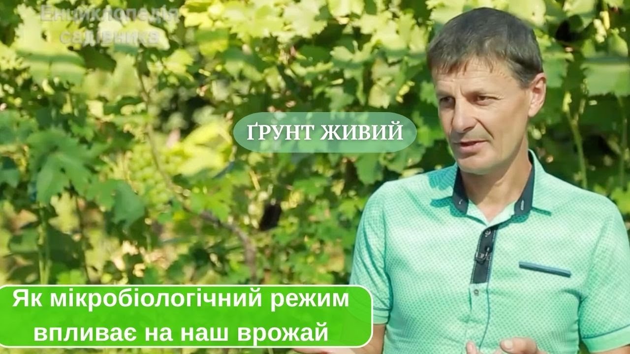 Мікробіологічний режим ґрунту та його вплив на рослини