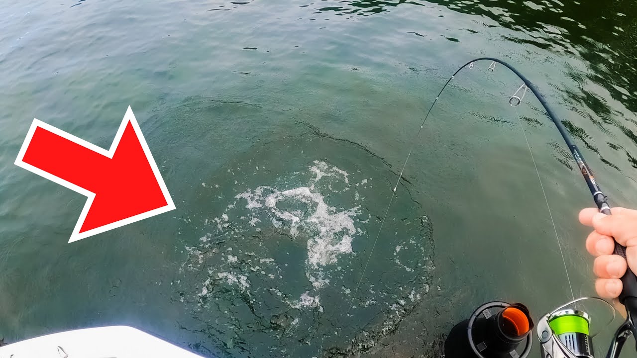 I CAN’T BELIEVE THIS ACTUALLY WORKS! (Lake Champlain MLF Practice)