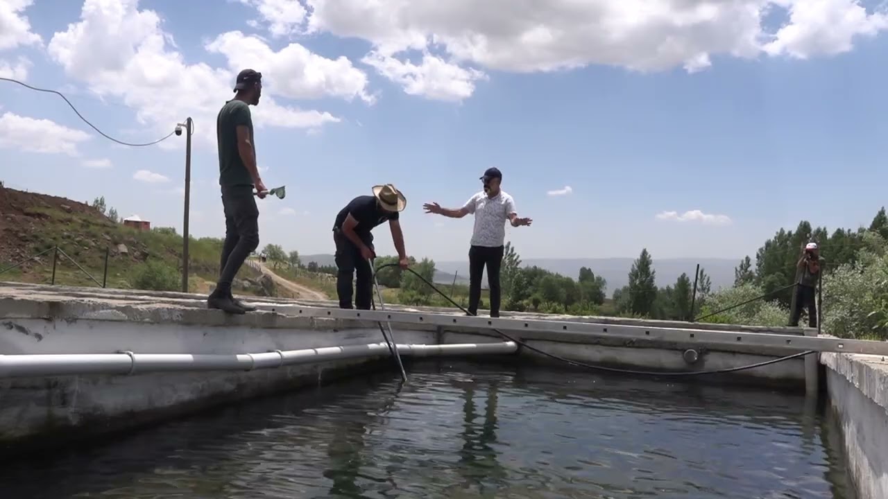 Muş'ta 2 bin 100 rakımda alabalık üretimi