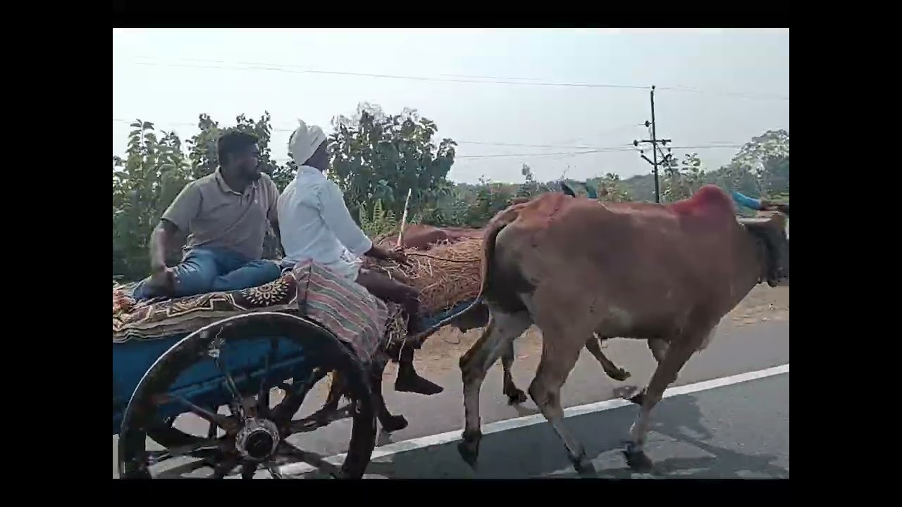 #kothakonda jathara#2026##penchicalpet to kothakonda ##