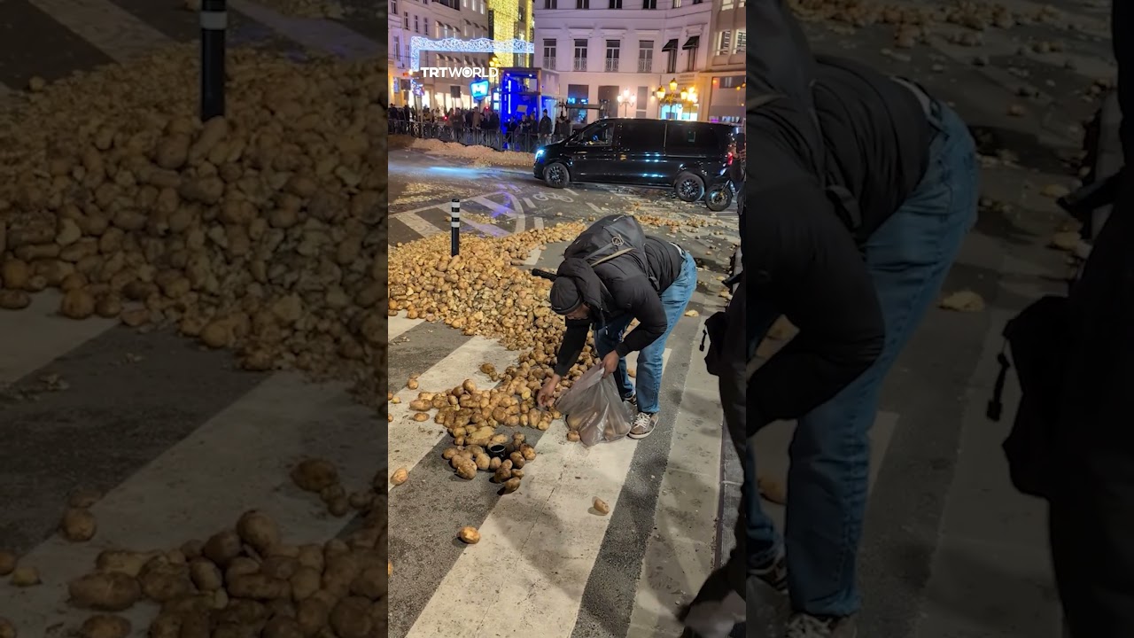 Жители собирают картофель, рассыпанный во время протеста фермеров в Брюсселе.