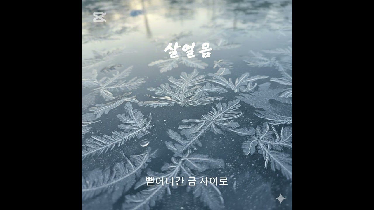 살얼음(가사추가)