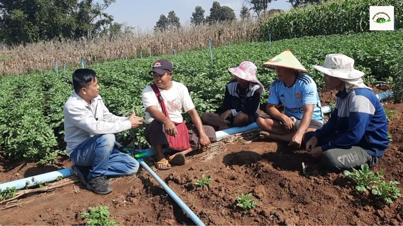 မြေဆီလွှာသေဆုံးရခြင်း အကြောင်းအရင်းများ Factors affecting Dead Soil