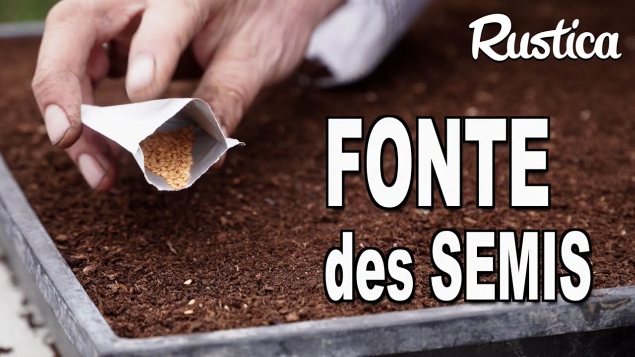 Prévenir la fonte des semis