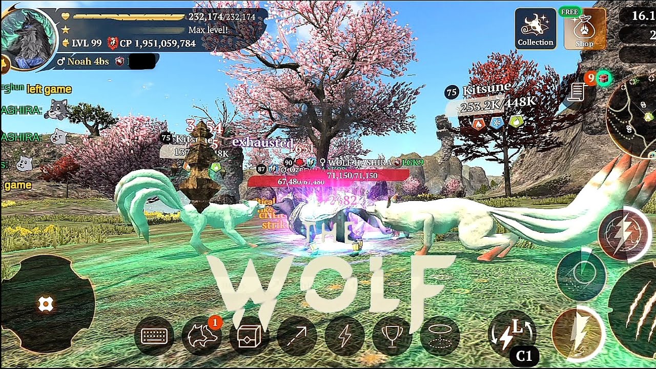 The wolf - Daily Coop❗