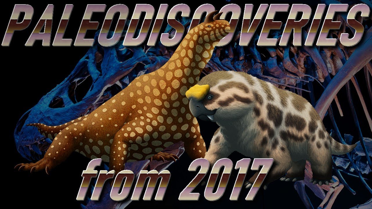 PALEO-DISCOVERIES from 2017