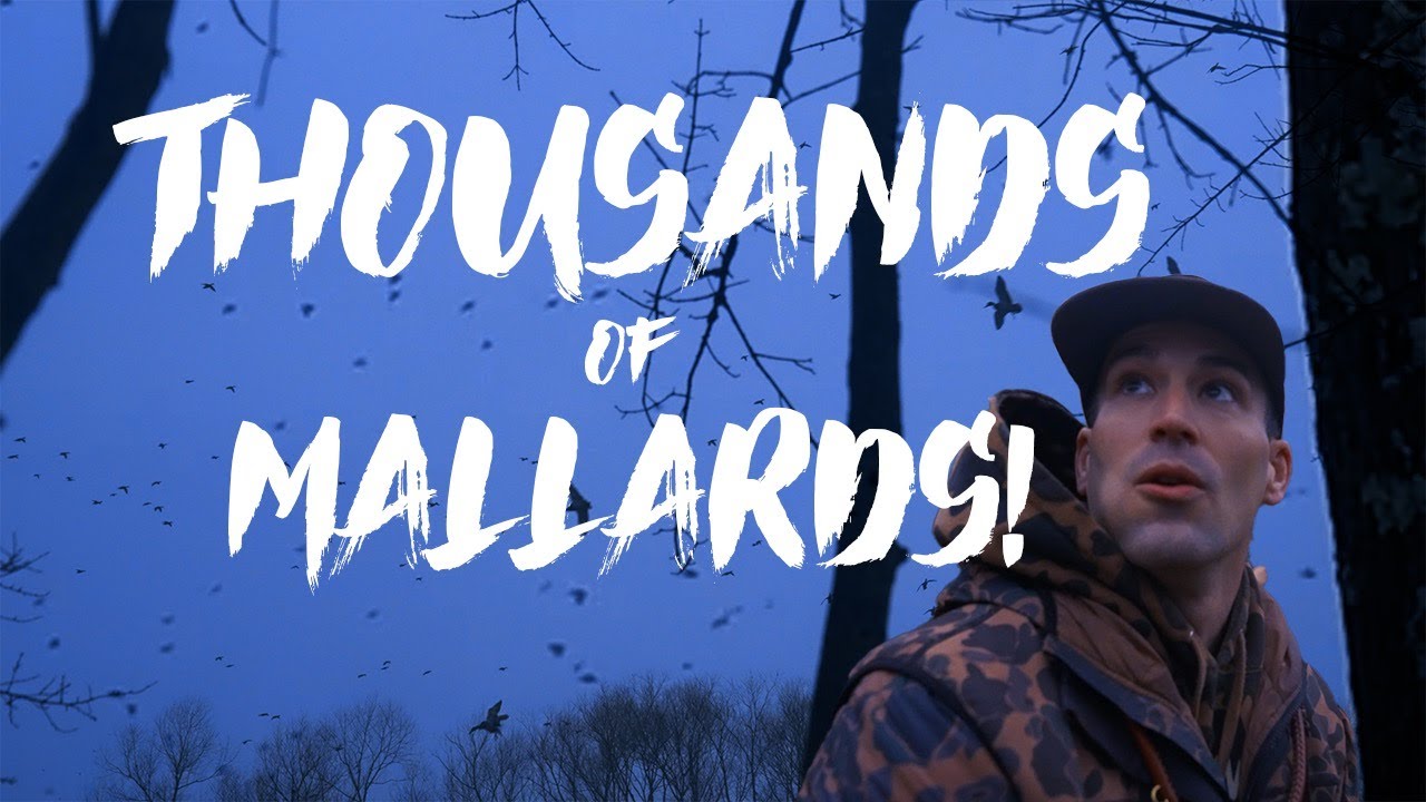 Wildest Duck Hunt Ever: Nine Man Limit, Thousands of Ducks | Season Finale S.2 E.7