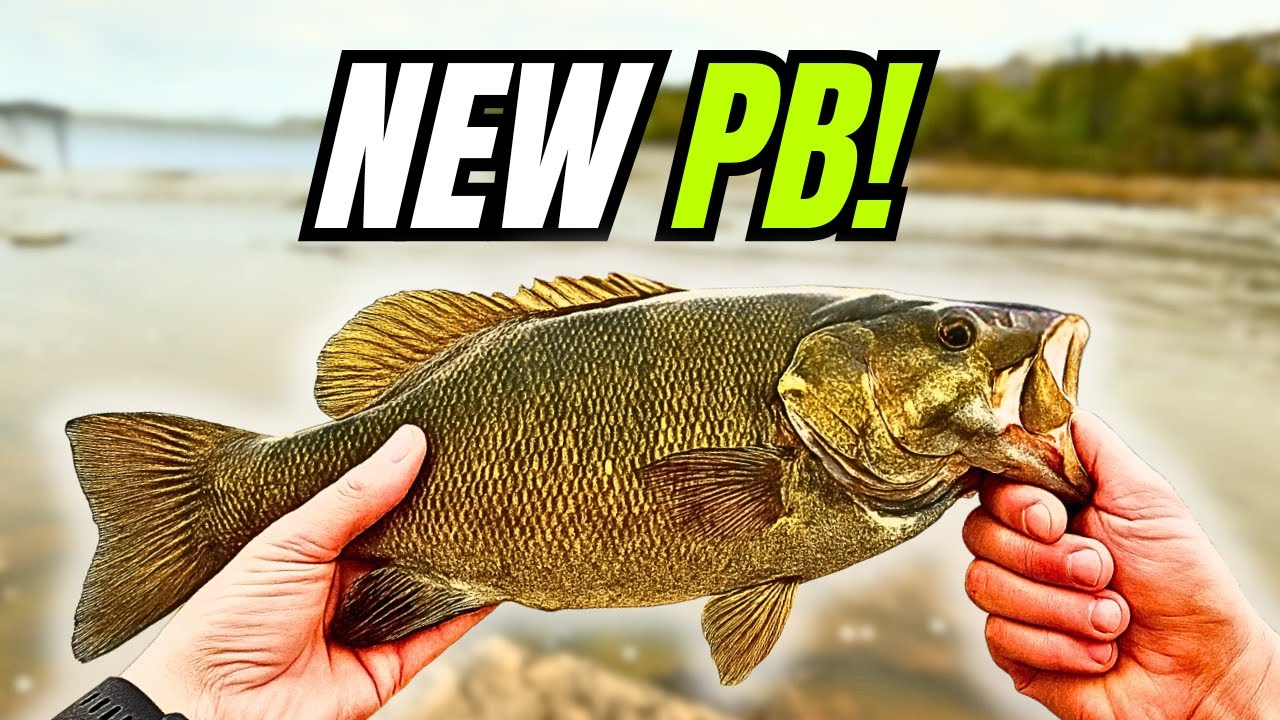 Smallmouth Are Back! Spring River Fishing in West Virginia!
