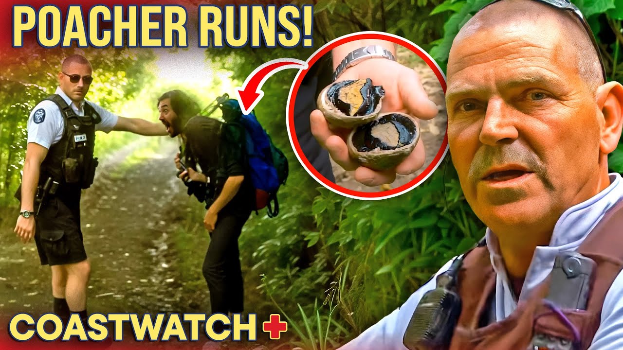Paua Poacher RUNS From Fisheries Officer! | Coastwatch - S7 E10 (FULL EPSIODE)
