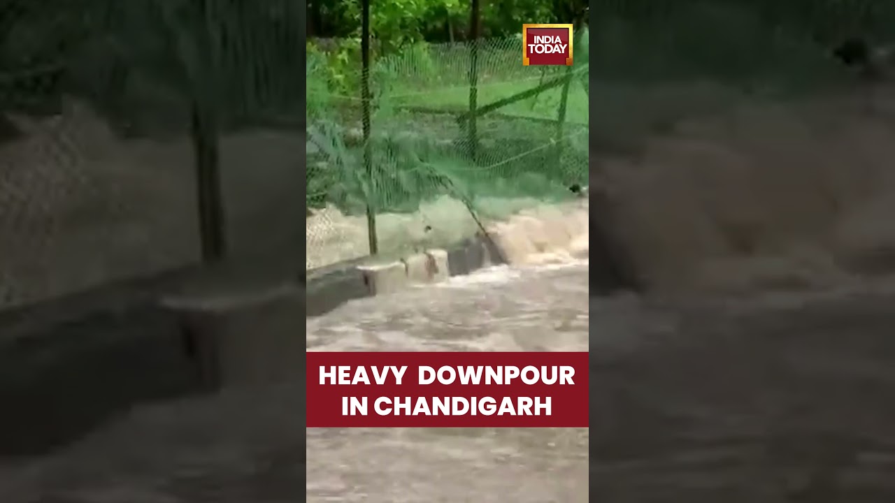 Chandigarh Flood Update: Zakir Husain Rose Garden Flooded After Heavy Rain | Roads Waterlogged