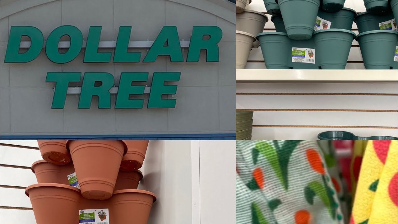 Dollar Tree Spring Garden Supplies 2023  Kitchen Gardening