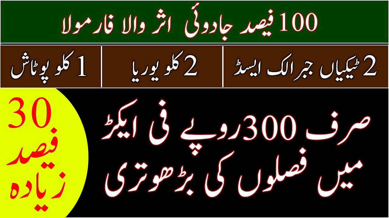 Gibberellic acid tablet|How to reduce fertilizer cost|Increase plants growth|Wheat growth stimulator
