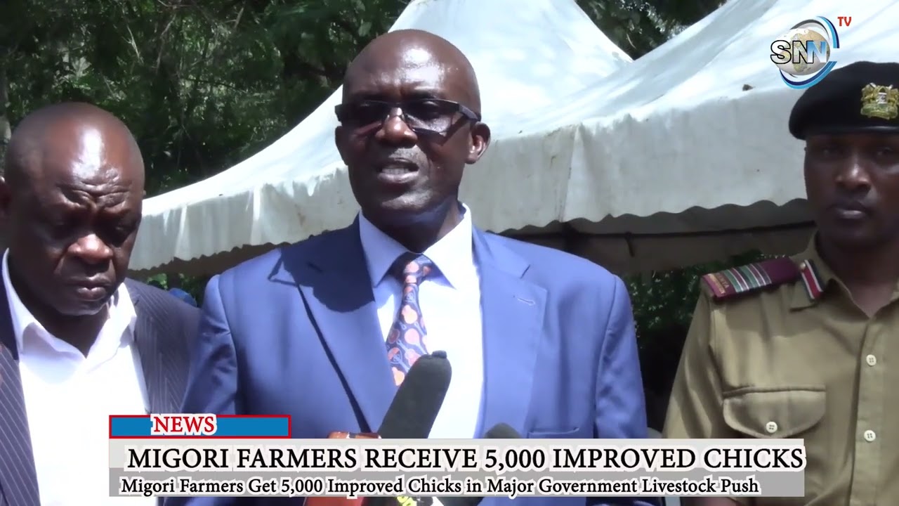 Migori Farmers Get 5,000 Improved Chicks in Major Government Livestock Push