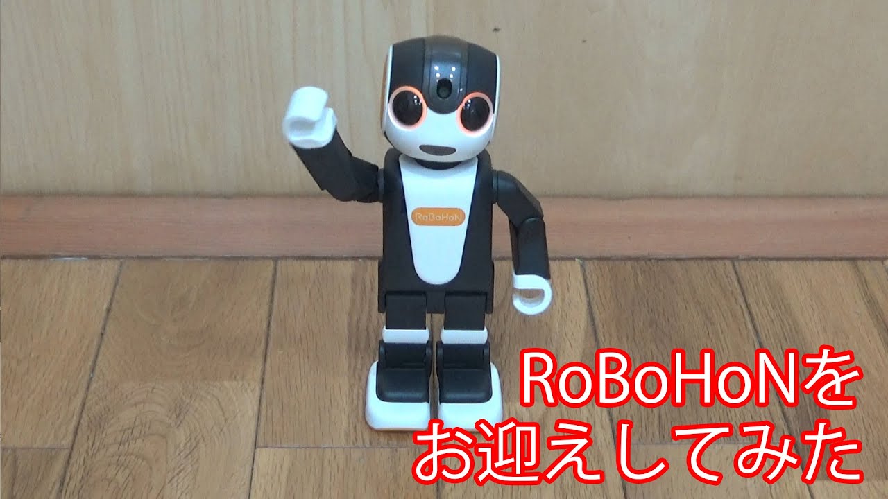 RoBoHoNをお迎えしてみた