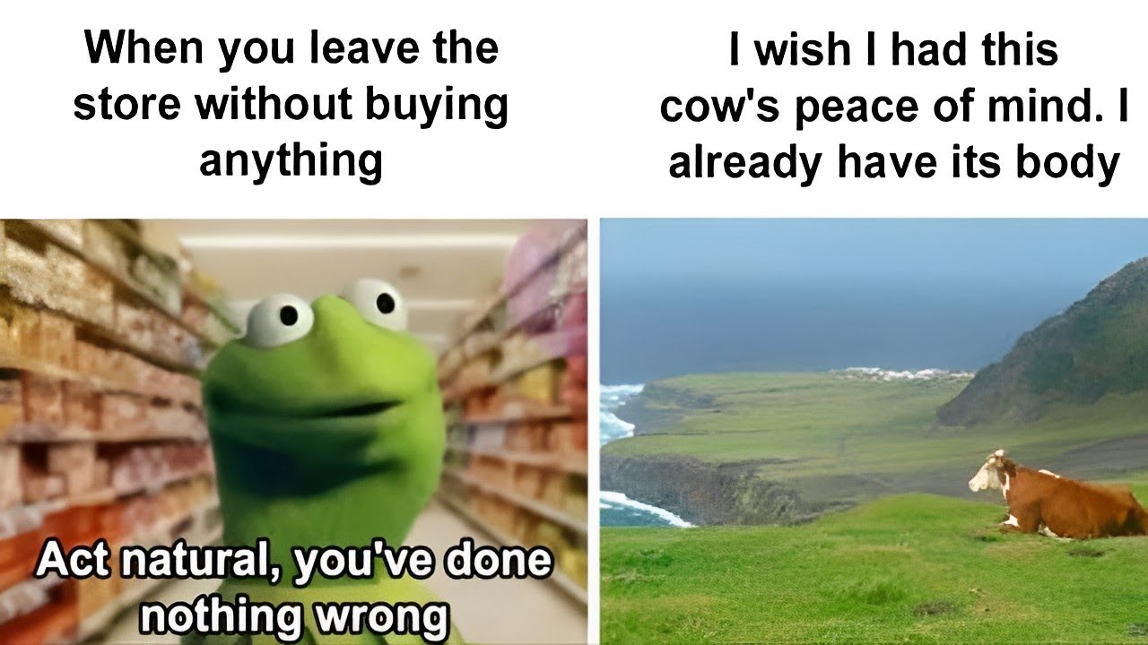 Memes To Send To Your Introvert Friends | Memes Time