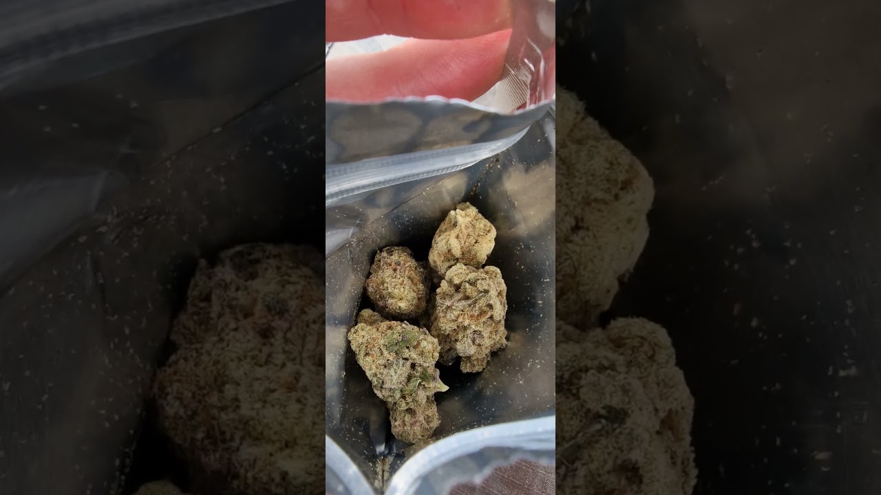 UK Legal Meds: Miracle Valley MAC1+