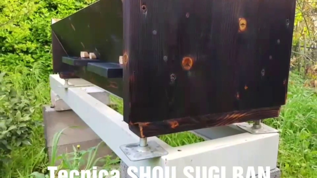 Nuova arnia TOP BAR tecnica SHOU SUGI BAN !!!
