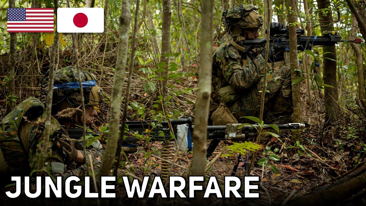 U.S. Marines & JGSDF Soldiers | Jungle Battles Small Team Tactics | Iron Fist 2024