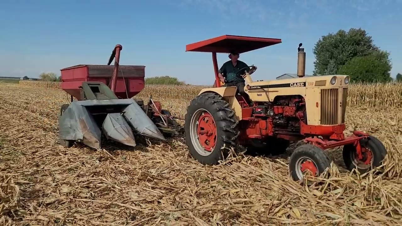 Case 730 Comfort King + NEW IDEA Corn Picker = 🤌
