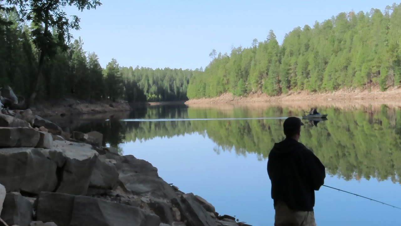 Fishing Arizona: KNOLL LAKE FISHING/CAMPING