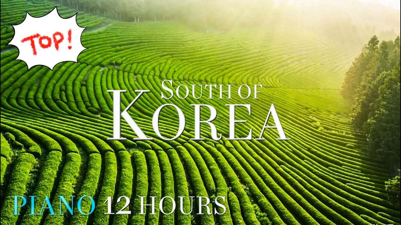 Relaxation 4K - Scenic Green Farm Jeju Island of South Korea 제주도 풍경 보성 녹차 정동진