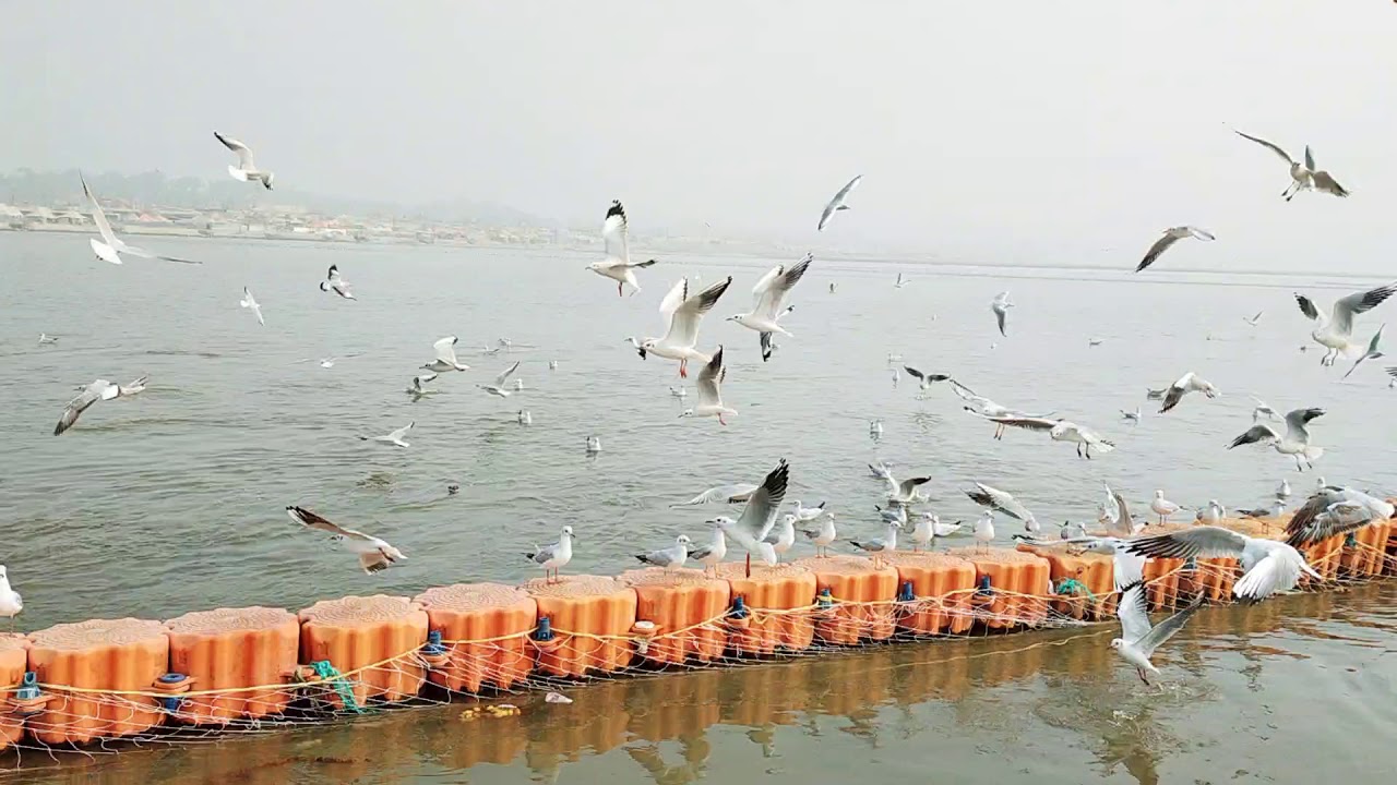 awesome view of ganga yamuna saraswati river sangam..in prayagraj