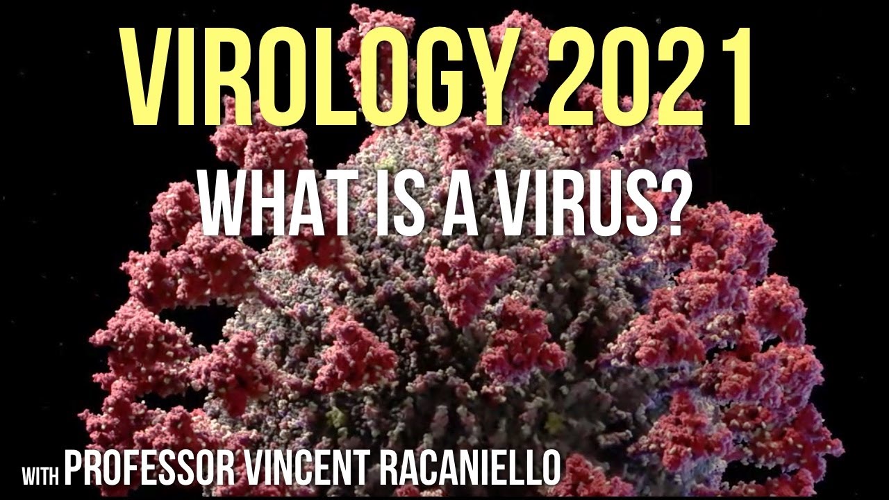 Virology Lectures 2021 #1: What is a Virus?