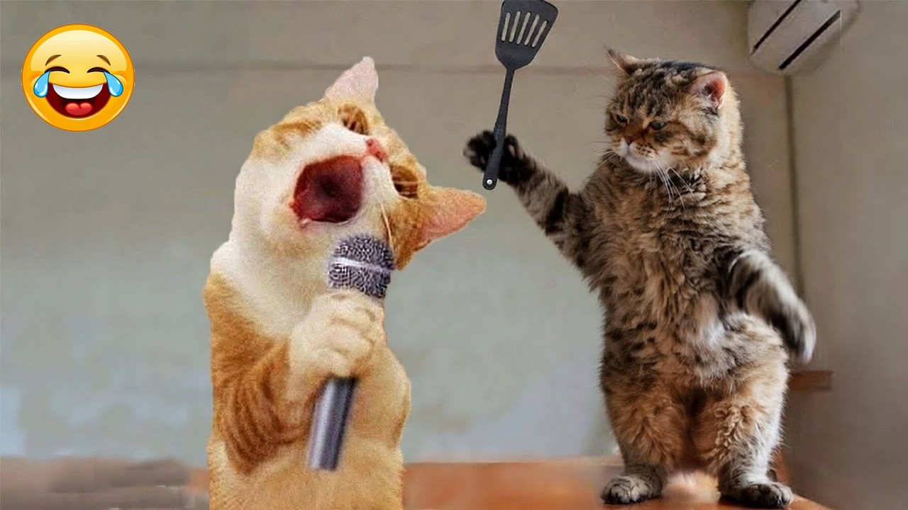 You Laugh You Lose 🛸Funniest Cats and Dogs Clips 2026😼🦮