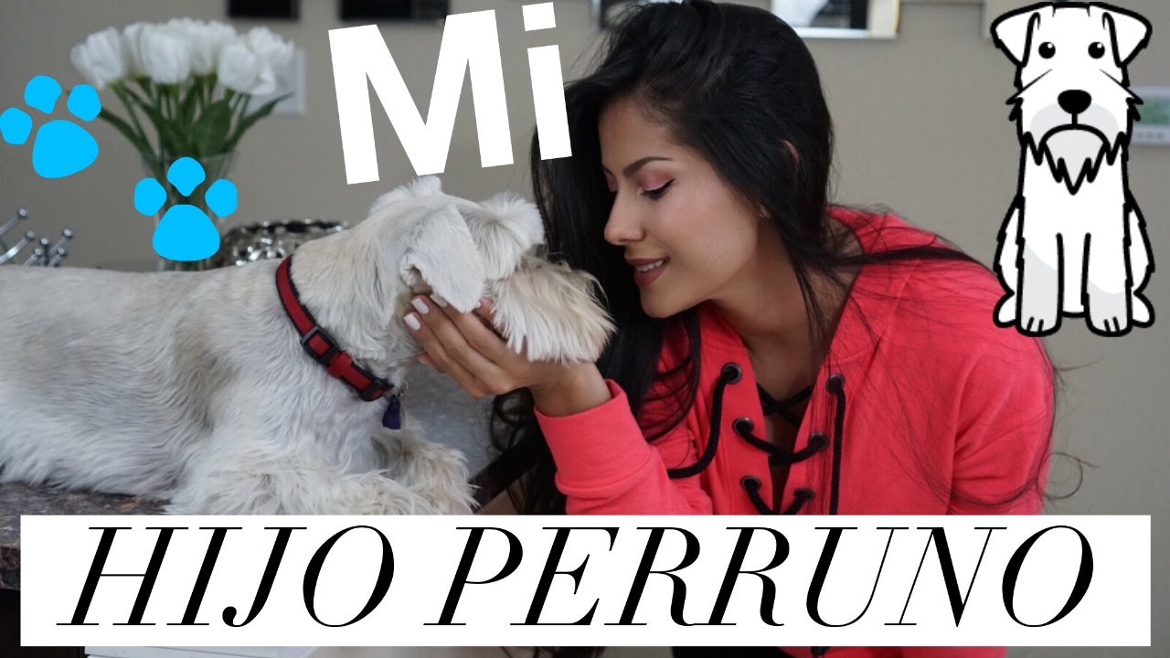 TAG DE LA MASCOTA CON POKER &hearts;  | SindyArenas