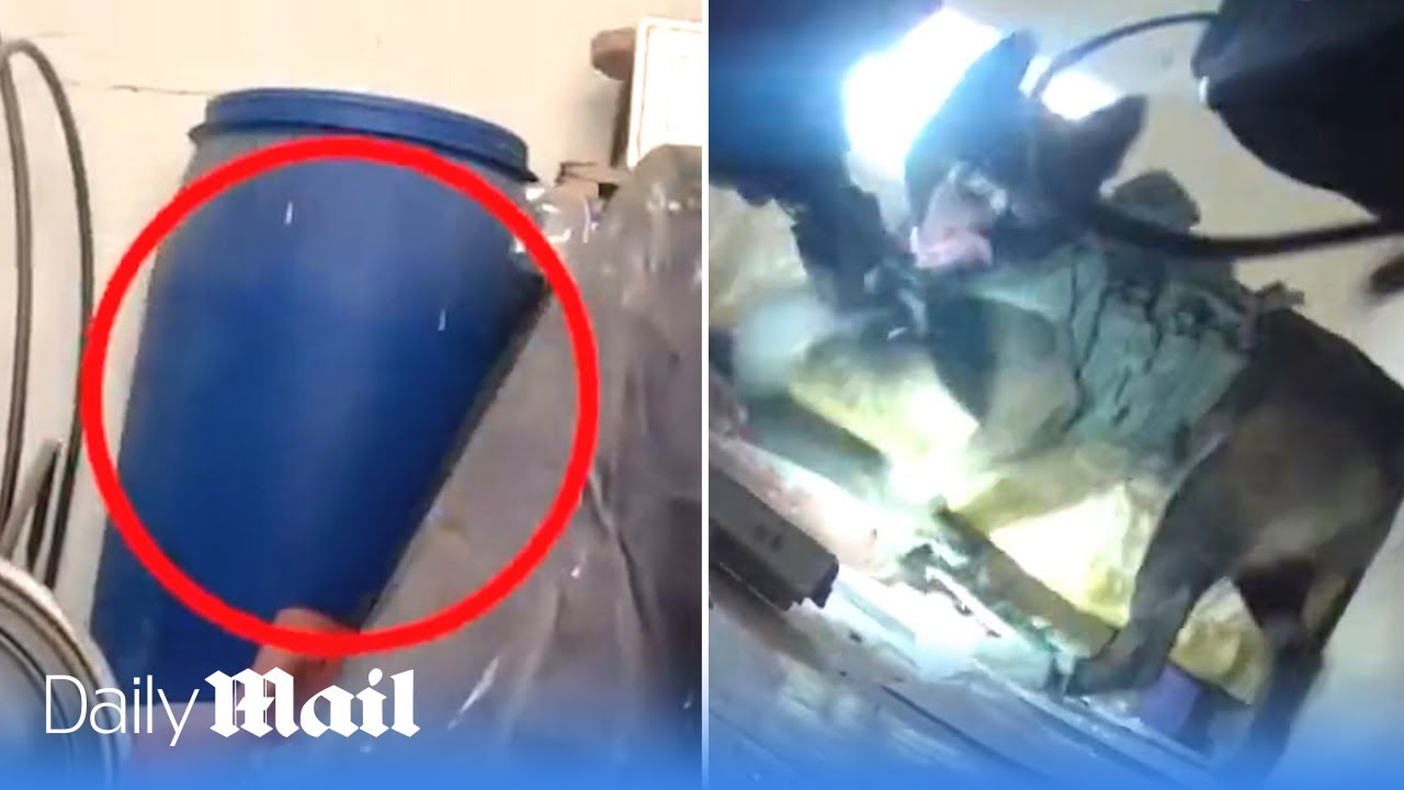 IDF dog unit finds Hamas barrel bomb and weapons stashes