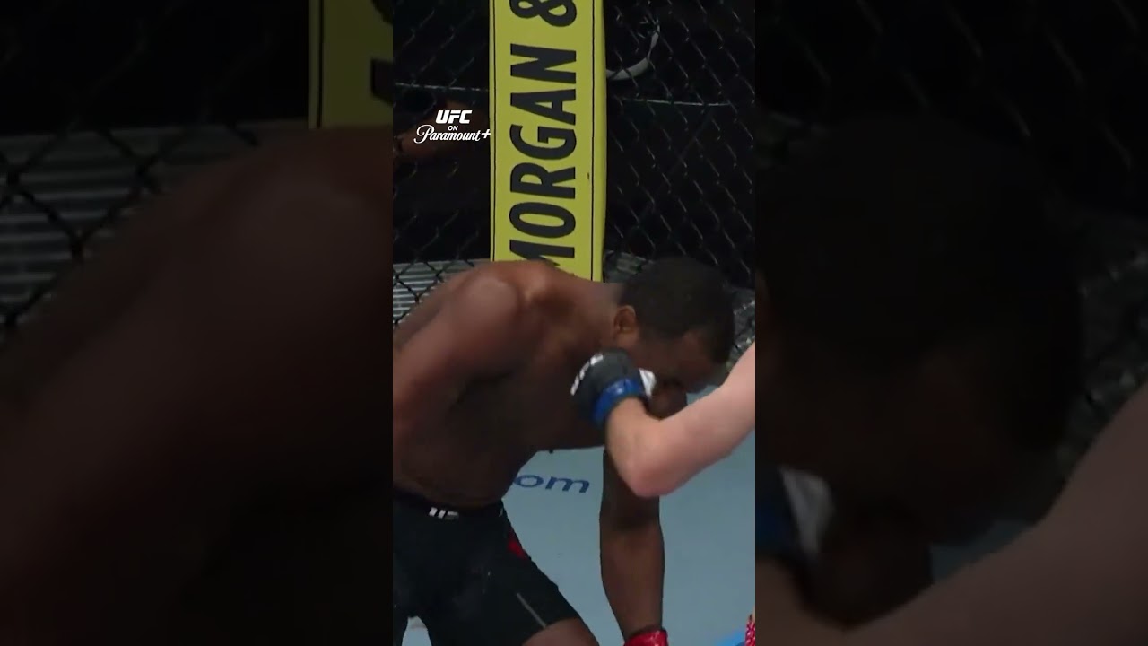 Sheesh 🤯 #ufc  #knockout  #ufchouston