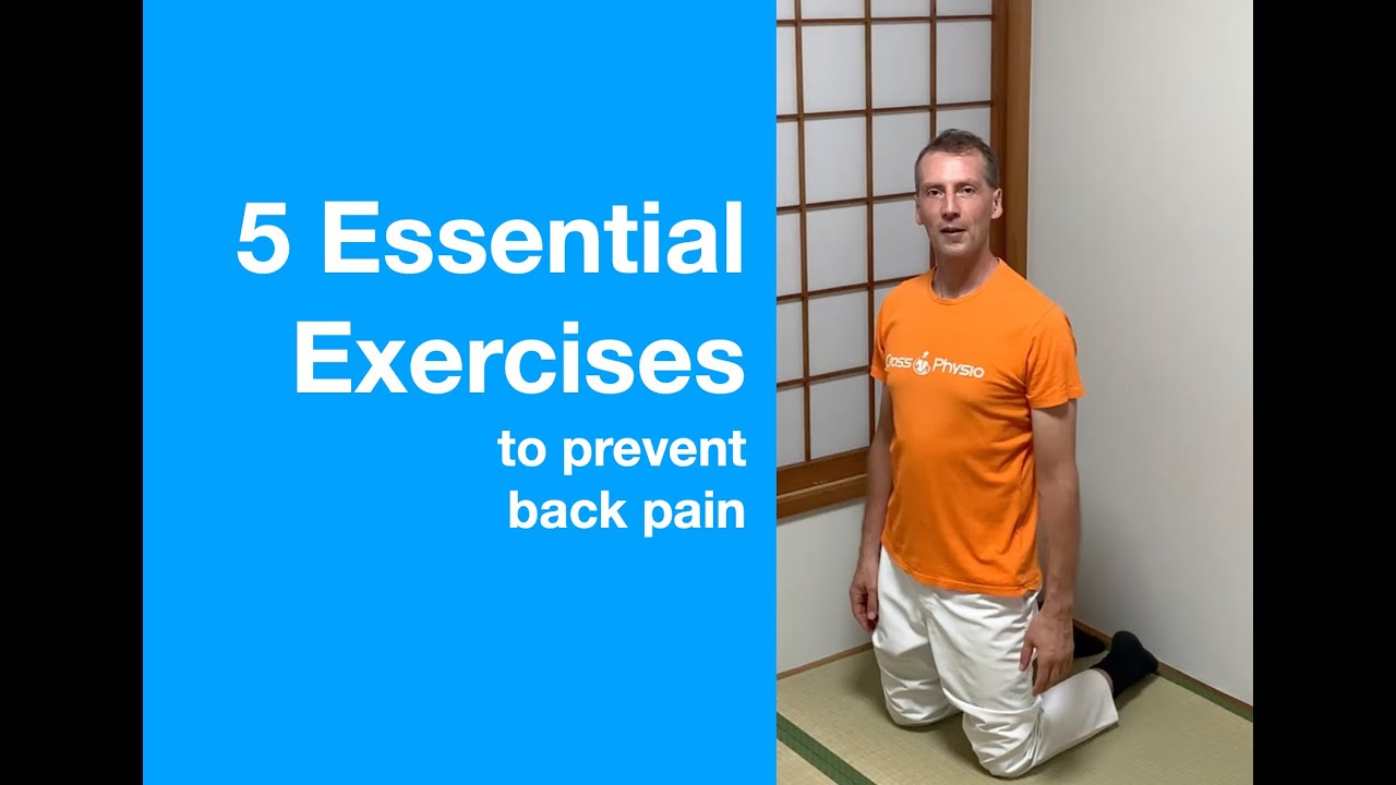 Say Goodbye to Lower Back Pain: Essential Prevention Exercises