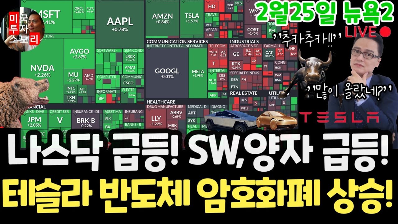 미국주식/엔비디아 세일즈포스, 스노우, 아이온큐 어닝 결과분석!/테슬라  구글 애플 아마존 메타 마소 팔란티어 삼성전자MU 브로드컴 슈마컴 코어위브 샌디스크 써클 비트코인