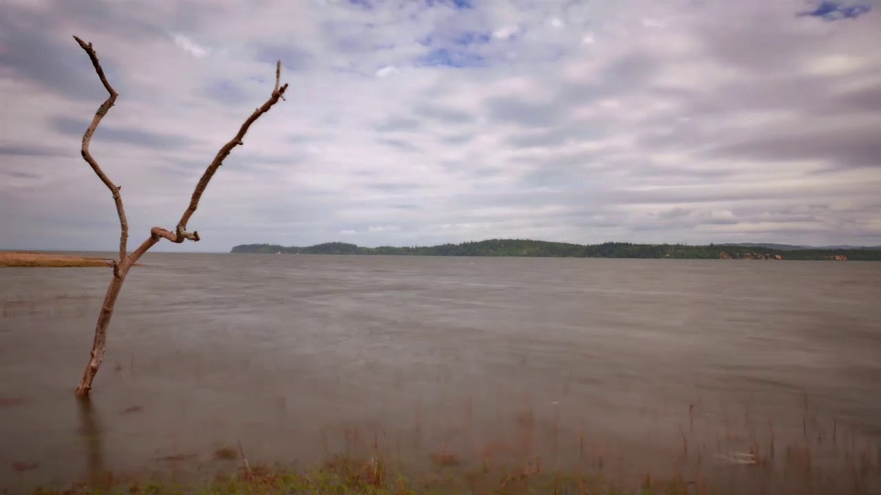 Willapa Tide Lapse