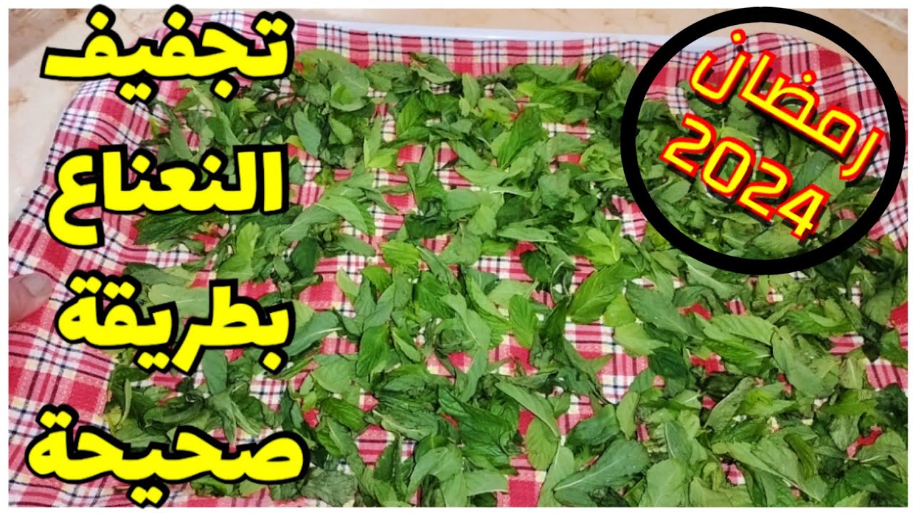 تجفيف النعناع من #تحضيرات_رمضان و اهم المفاهيم الصحية للتجفيف الصحيح و الاستفادة الصحية