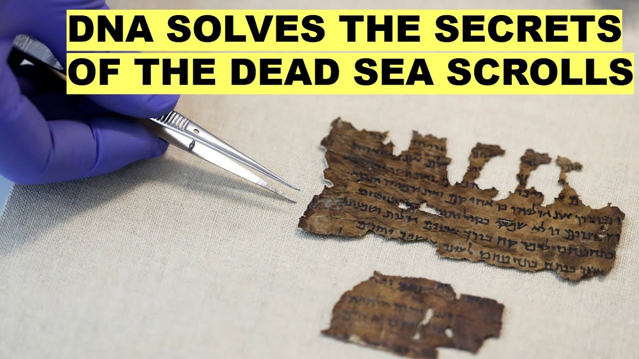 Ancient DNA Reveals the Mysterious Origins of the Dead Sea Scrolls!