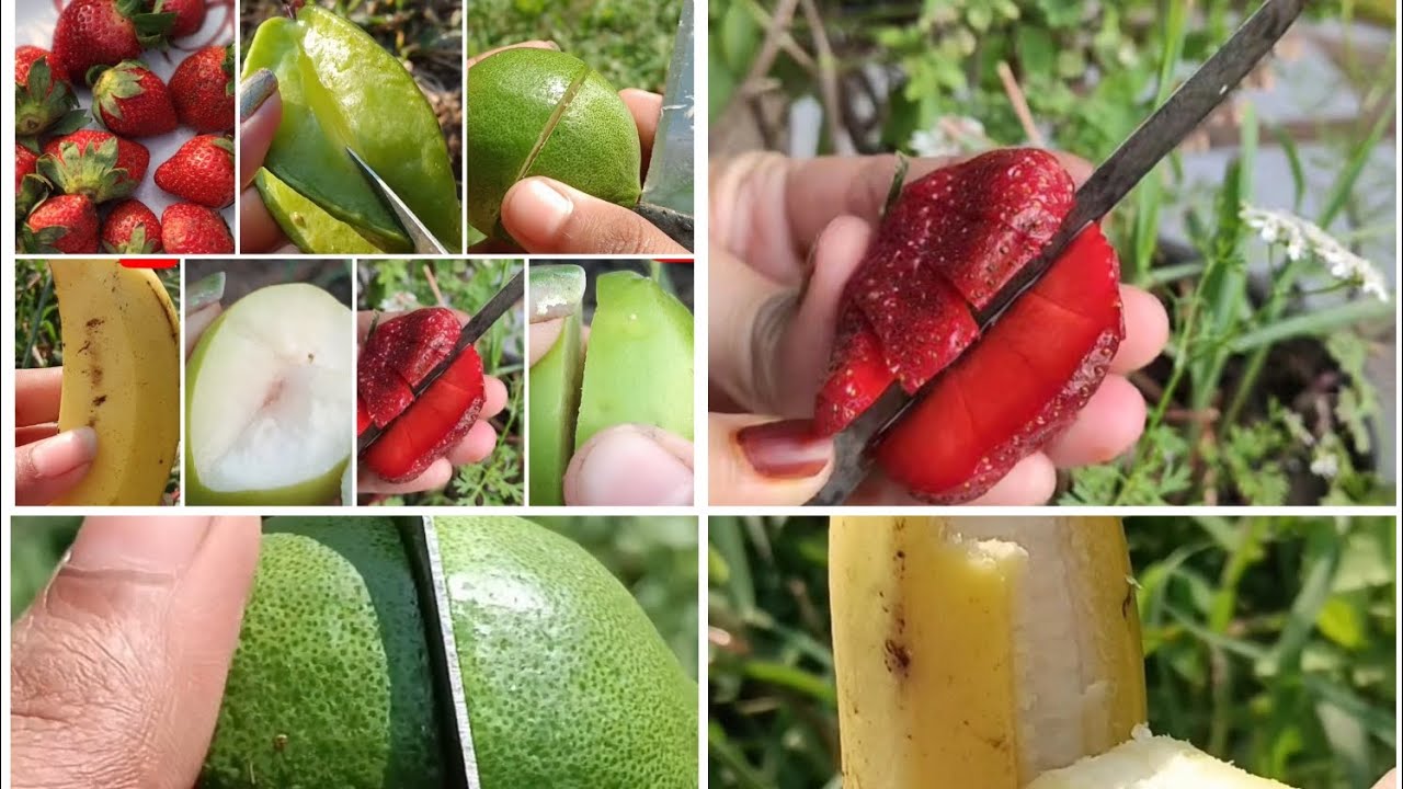 Fruit Farming With Organic Fruit Harvesting Video 🍑🍓🥝🍎🍇🥭 #volg #videos #fruitcutting @Food-home14G