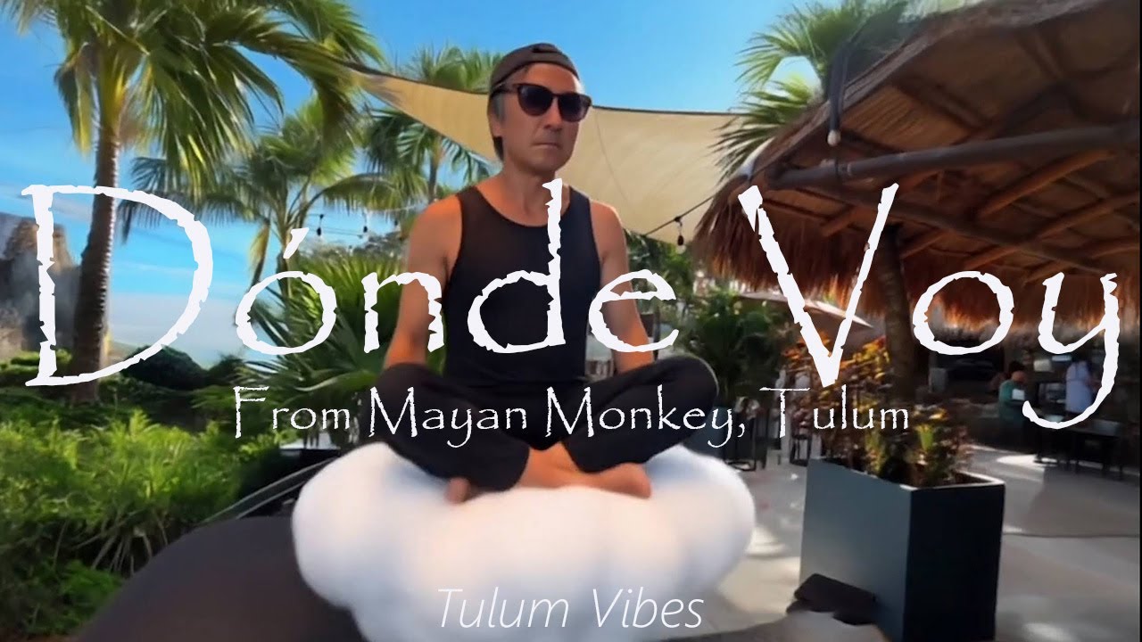 【Tulum Vibes Vol.10】Dónde Voy from Mayan Monkey, Tulum  #TulumVibes #aiavatar #virtualtravel