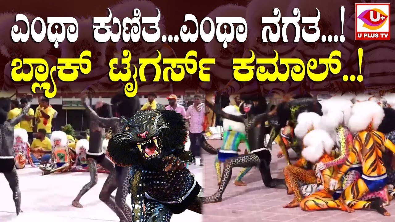 ⭕ Biruver kudla : ಬಿರುವೆರ್ ಕುಡ್ಲದ ಕಪ್ಪು ಹುಲಿಗಳ ಕುಣಿತ ಮಿಸ್ ಮಾಡ್ಬೇಡಿ, ಎಂಥಾ ಅದ್ಭುತ..! | U PLUS TV