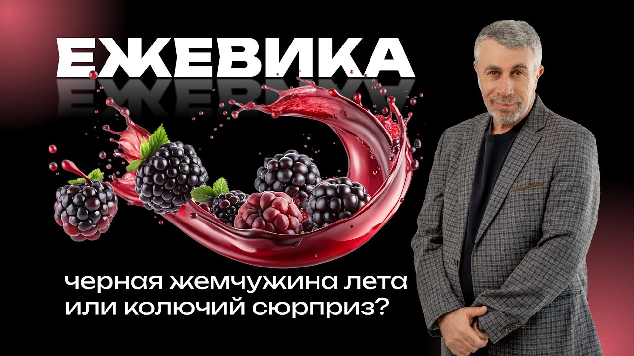 Ежевика: черная жемчужина лета или колючий сюрприз? Разбираем по науке