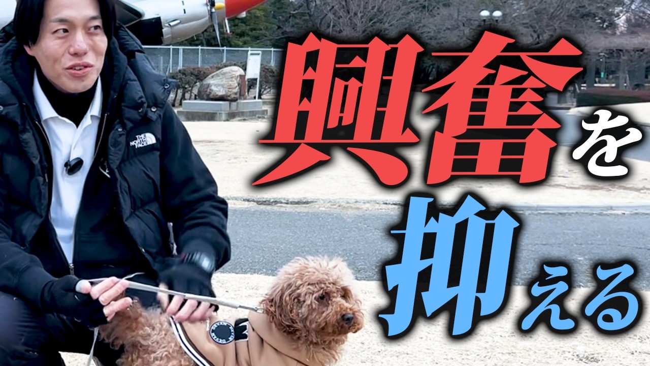 【実演/深掘り】犬の興奮を抑える・落ち着きを促すノウハウを警察犬ドッグトレーナーが本気解説