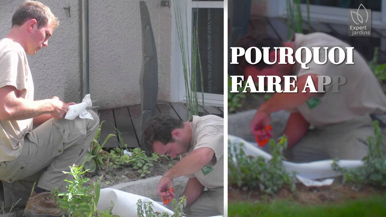 Qu'est ce qu'un expert jardins ?